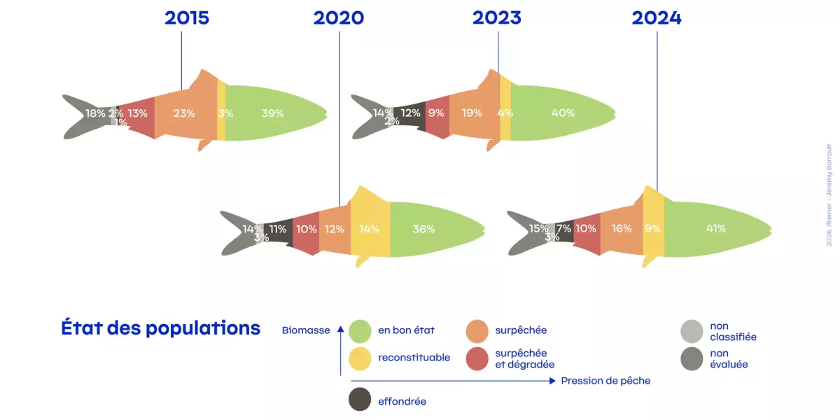 Évolution de l’état des populations de poissons exploitées en France hexagonale entre 2015 et 2023.  Crédit : Ifremer 2025, J. Barrault