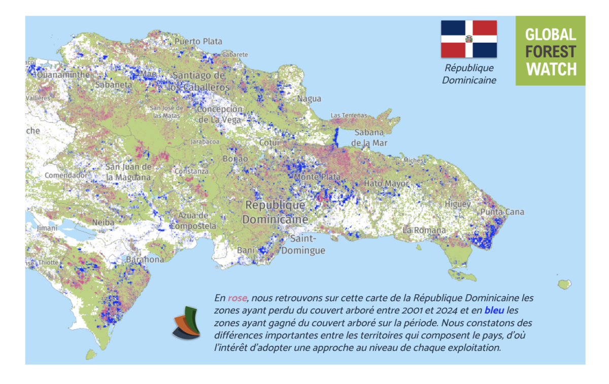Carte de la déforestation et reforestation en République Dominicaine entre 2001 et 2024.